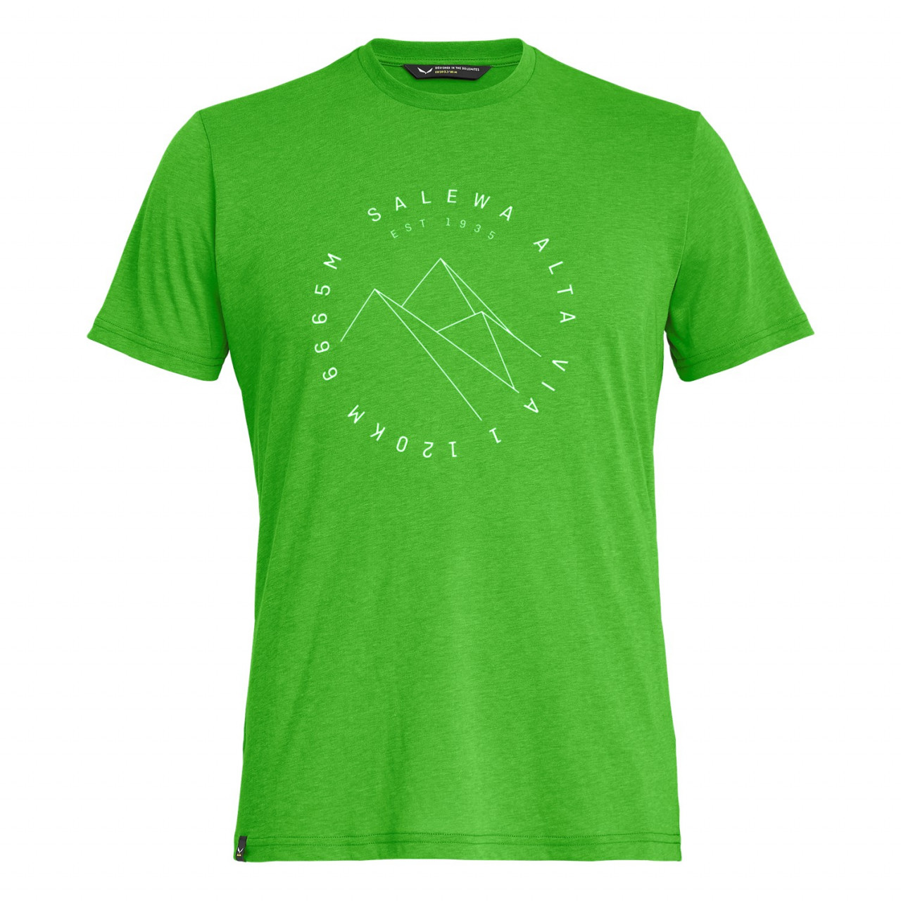 Salewa Alta Via Drirelease® Erkek T-Shirts Yeşil Türkiye 139578PNO